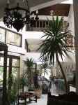Hotels in Skala Potamias 